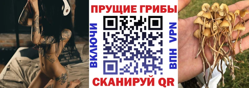 Псилоцибиновые грибы GOLDEN TEACHER дарнет шоп мега зеркало Баймак